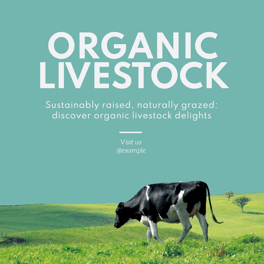 Organic livestock Instagram post template