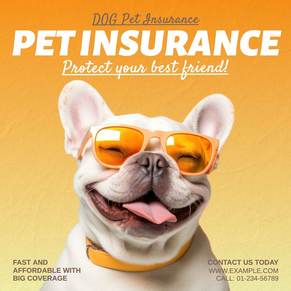 Pet insurance Instagram post template