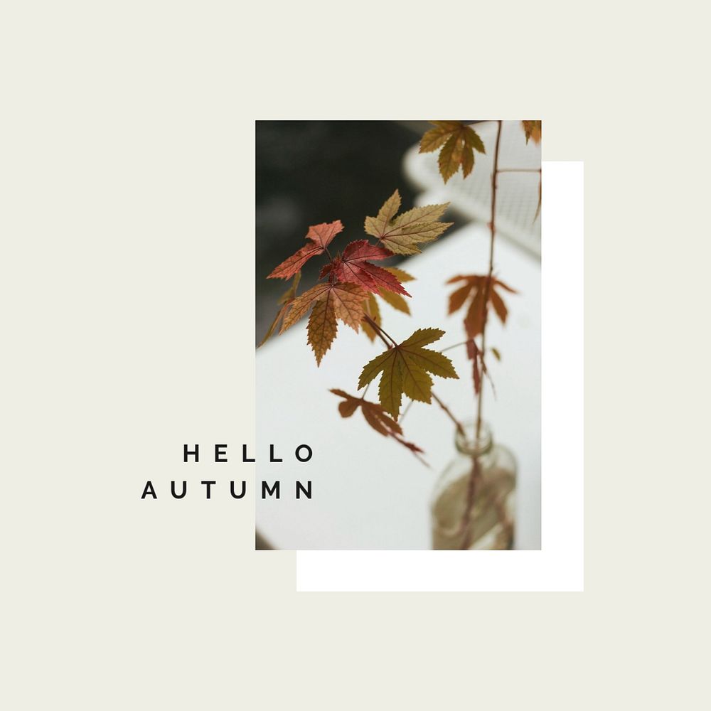 Hello autumn instagram post template, editable text