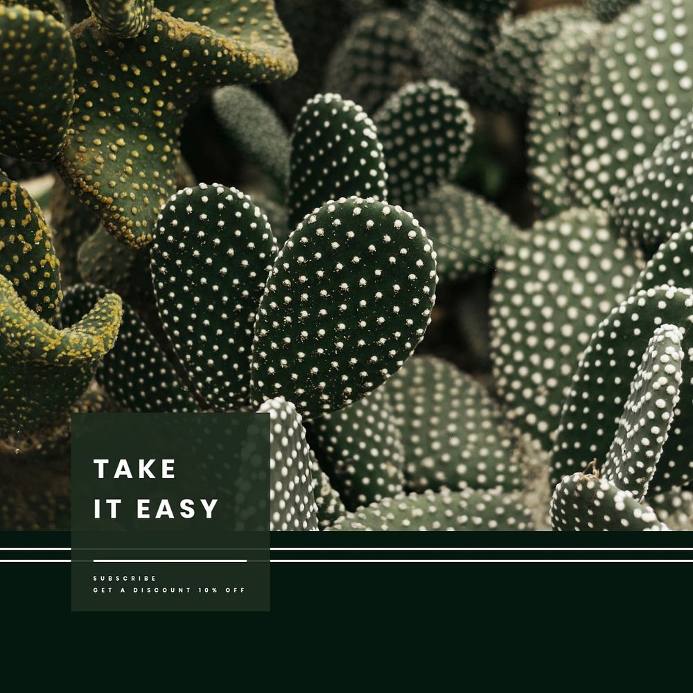 Cactus aesthetic Instagram post template, take it easy quote