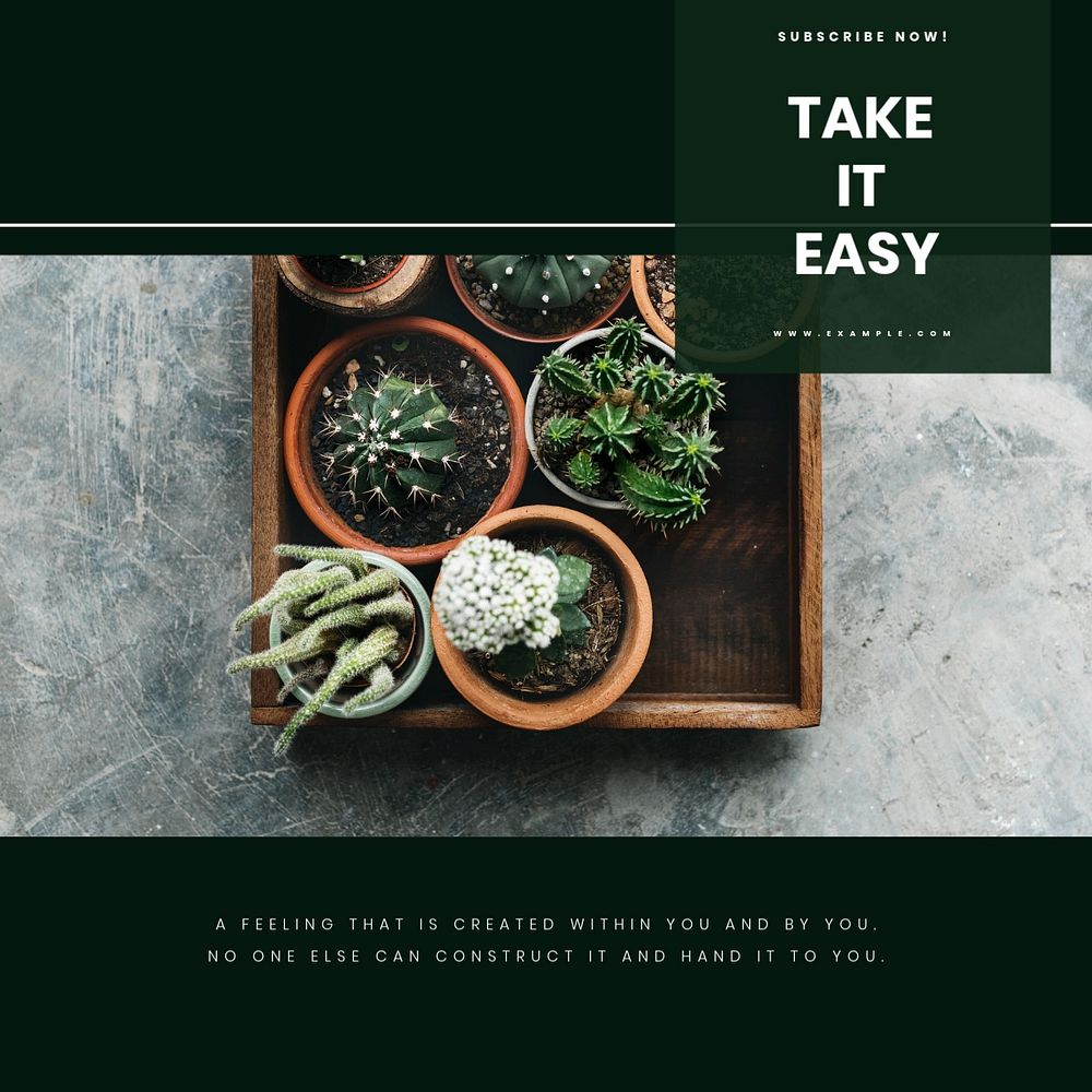 Cactus aesthetic Instagram post template, take it easy quote