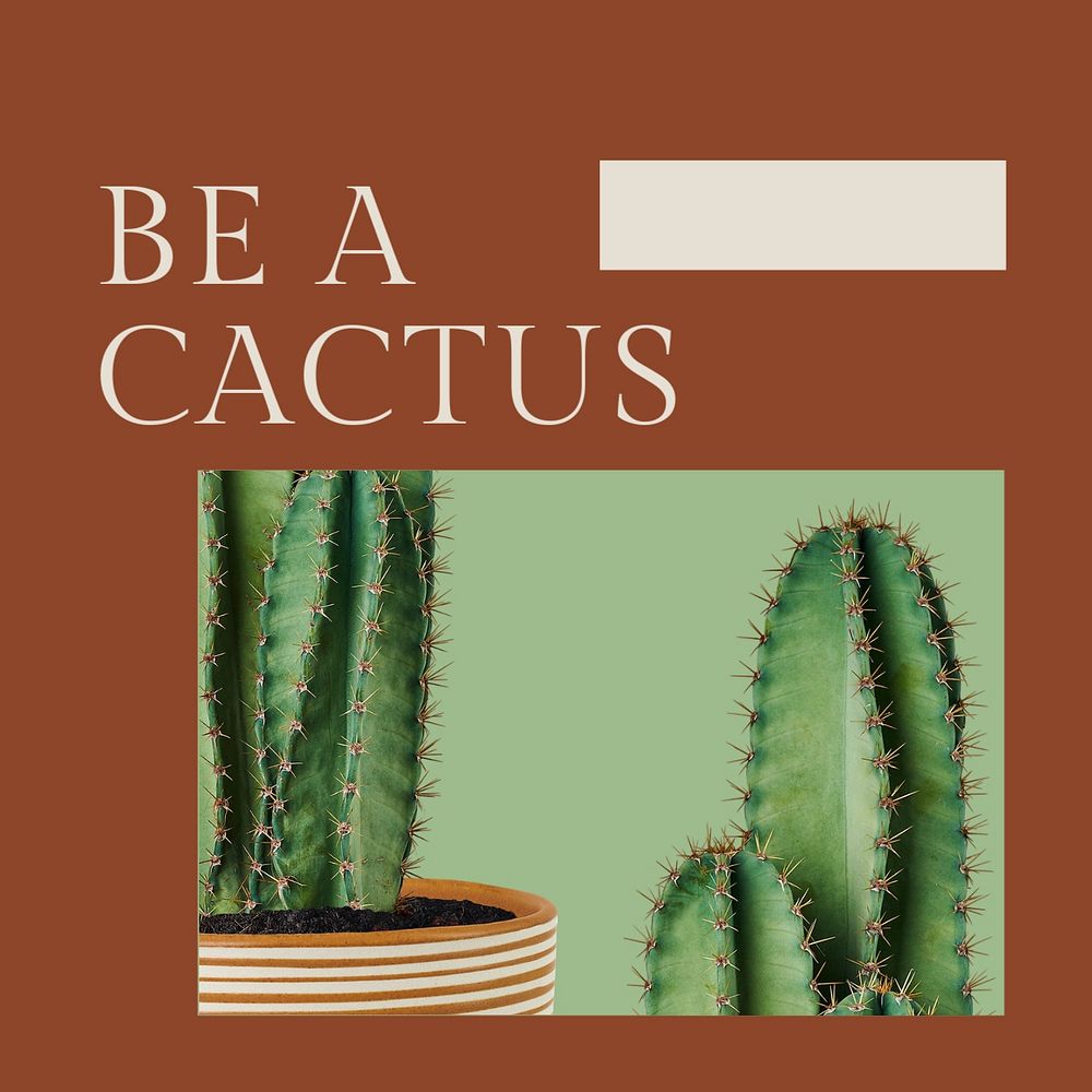 Positive quote instagram post template, houseplants design, editable text
