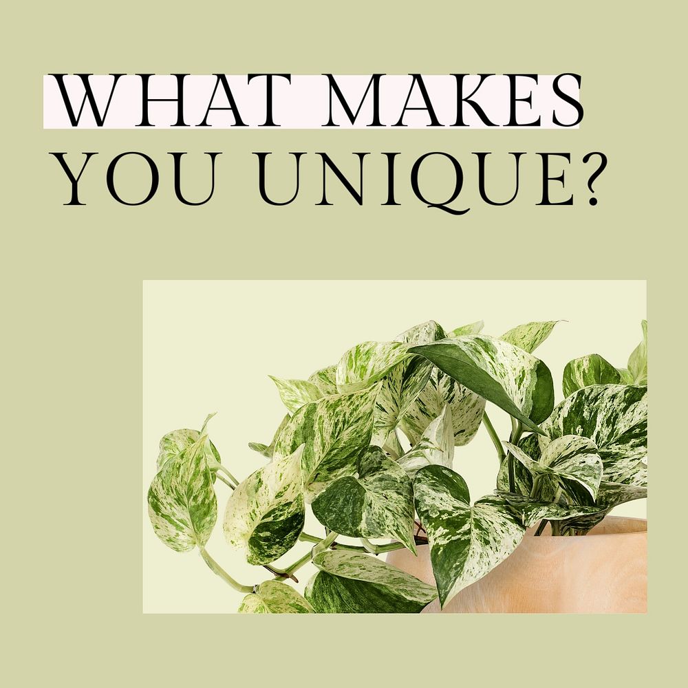 Positive quote instagram post template, houseplants design, editable text