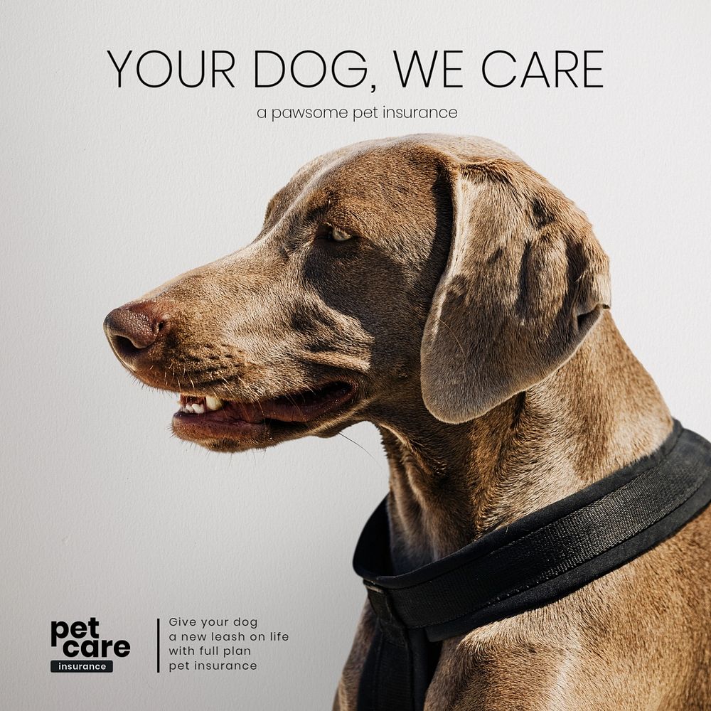 Pet insurance Instagram post template, editable design