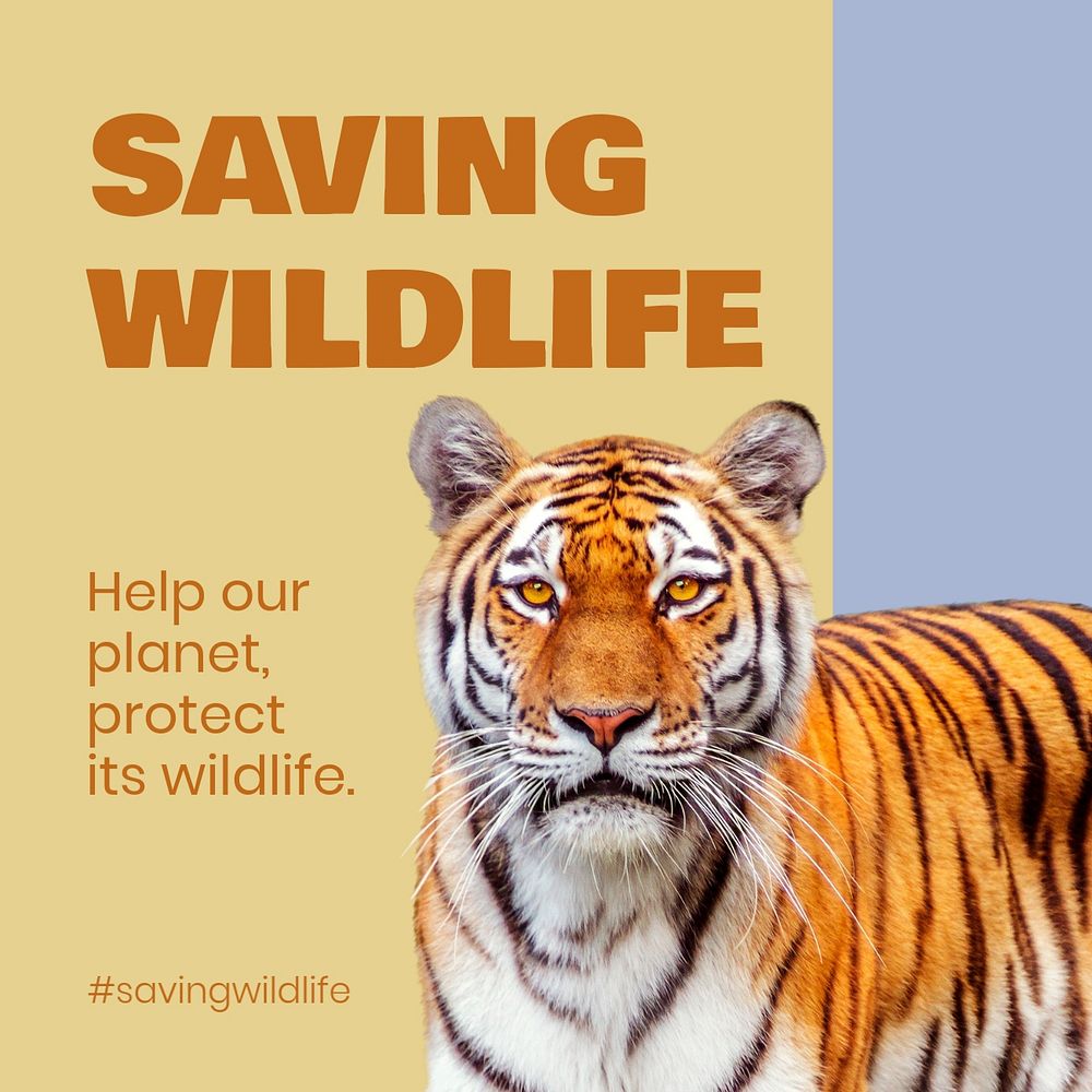 Saving wildlife Instagram post template for social media advertisement