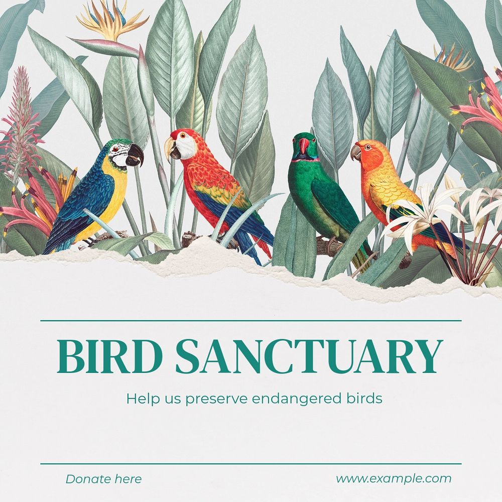 Bird sanctuary Instagram post template, editable text