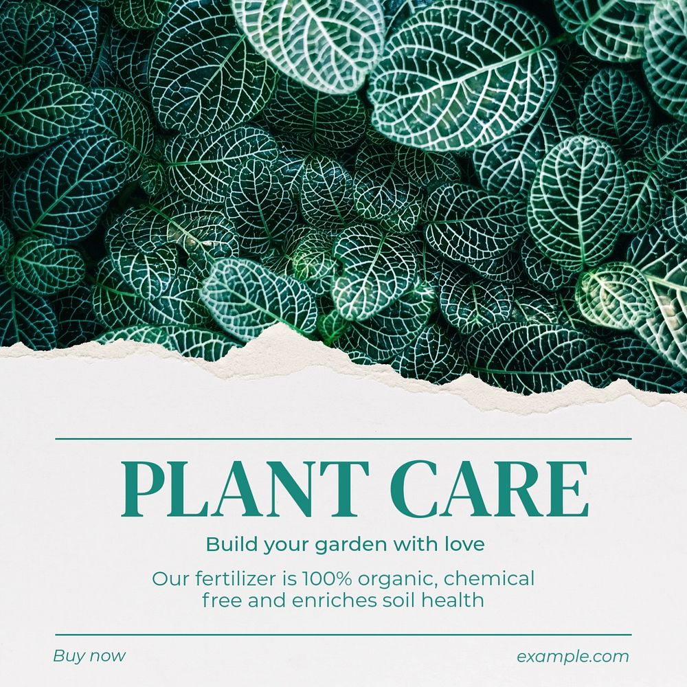 Plant care Instagram post template, editable text