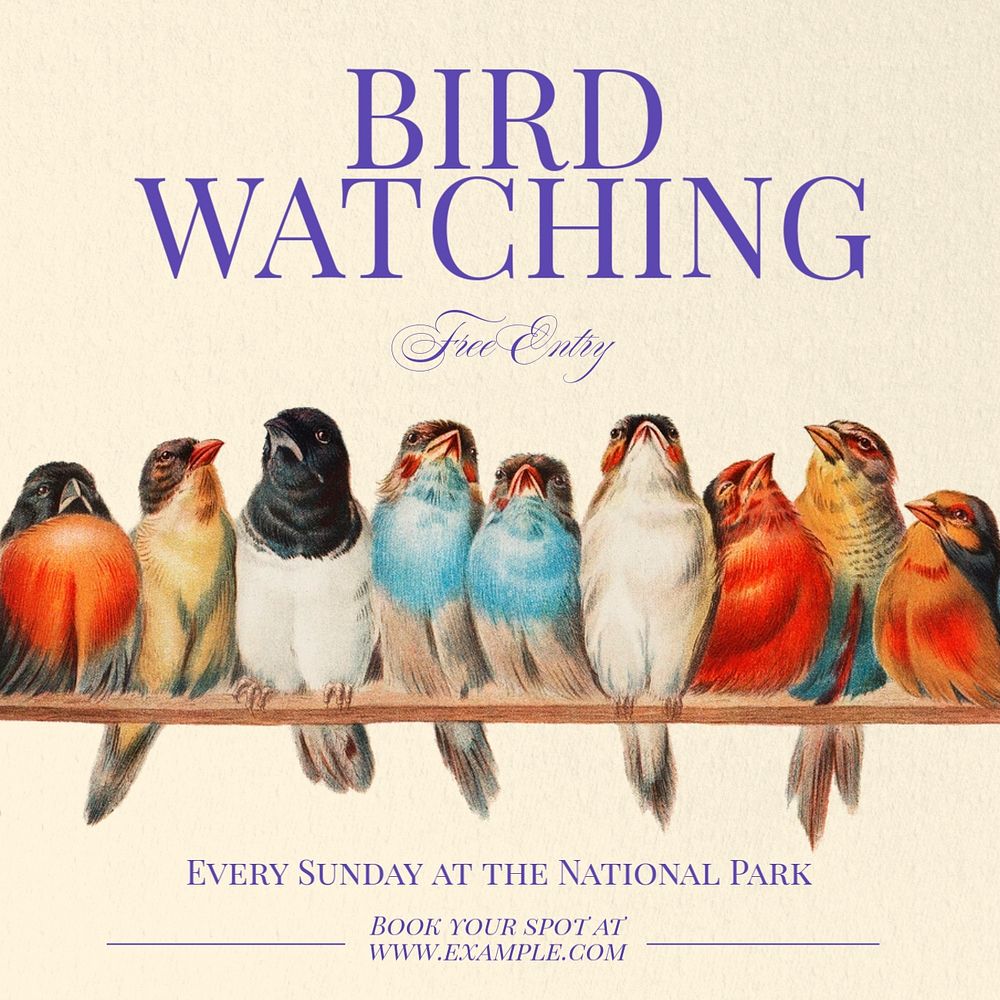 Bird watching Instagram post template, editable text