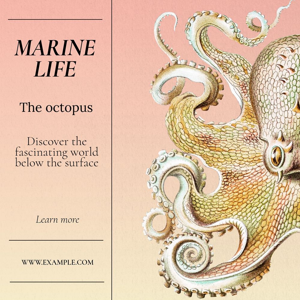 Marine life Instagram post template, editable text