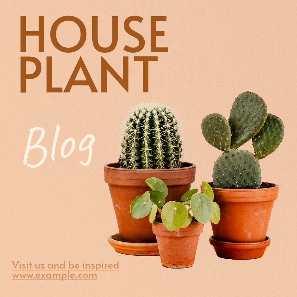 Houseplant lover blog Instagram post template, editable text