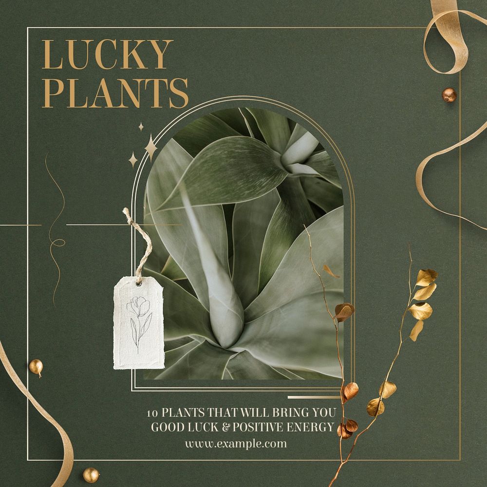 Lucky plants Instagram post template, editable design