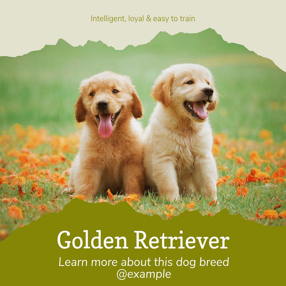 Golden Retriever Instagram post template, editable design