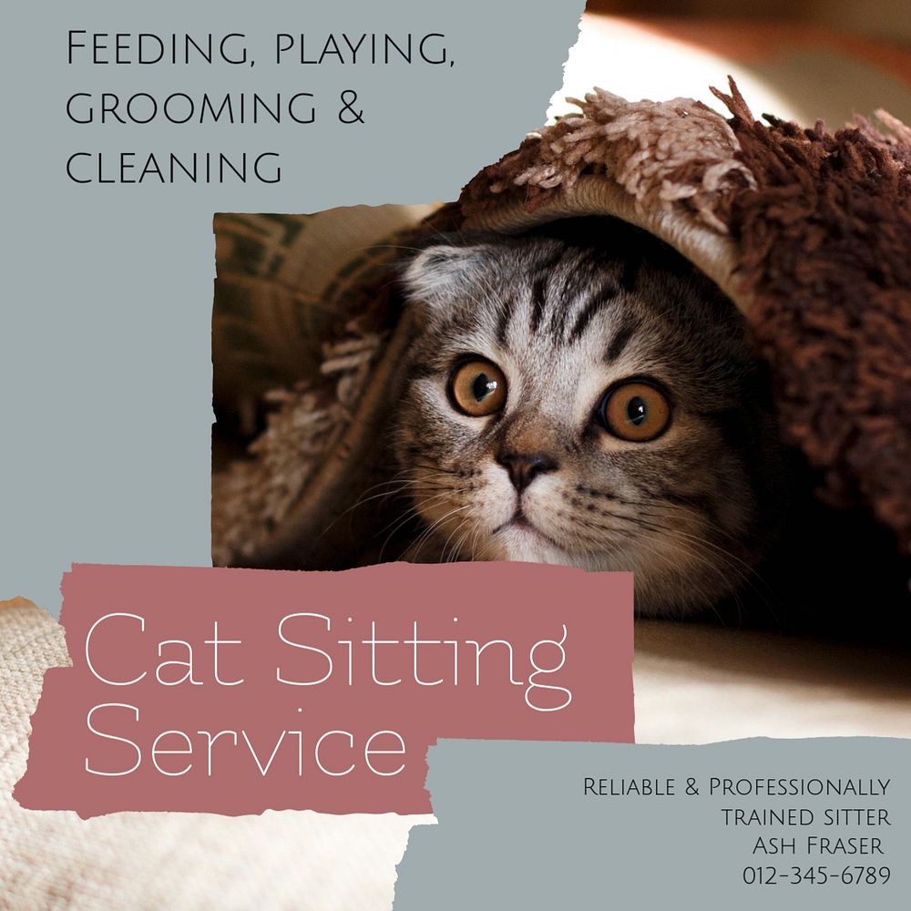 Cat sitting Instagram post template, editable social media design