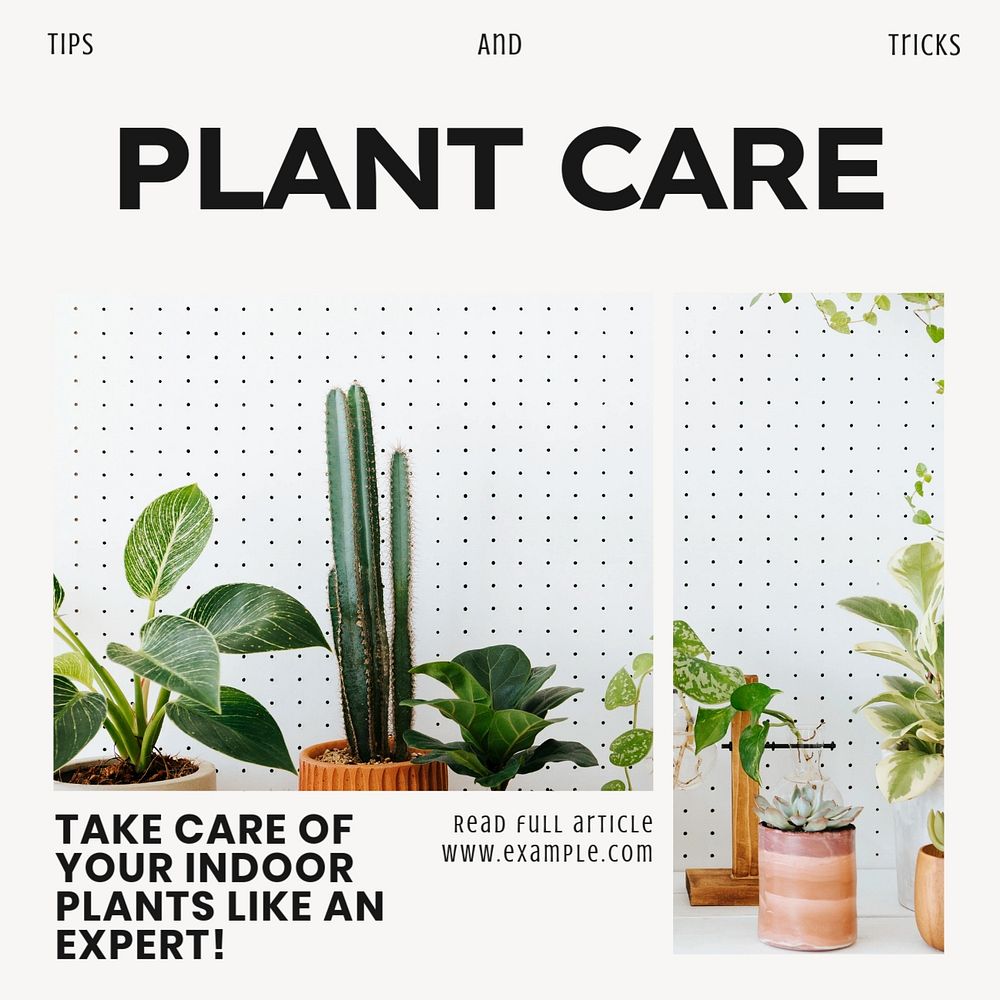 Plant care tips Instagram post template, editable social media ad