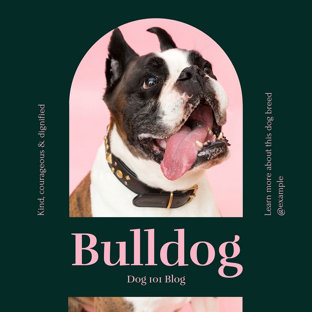 Bulldog Instagram post template, editable social media design