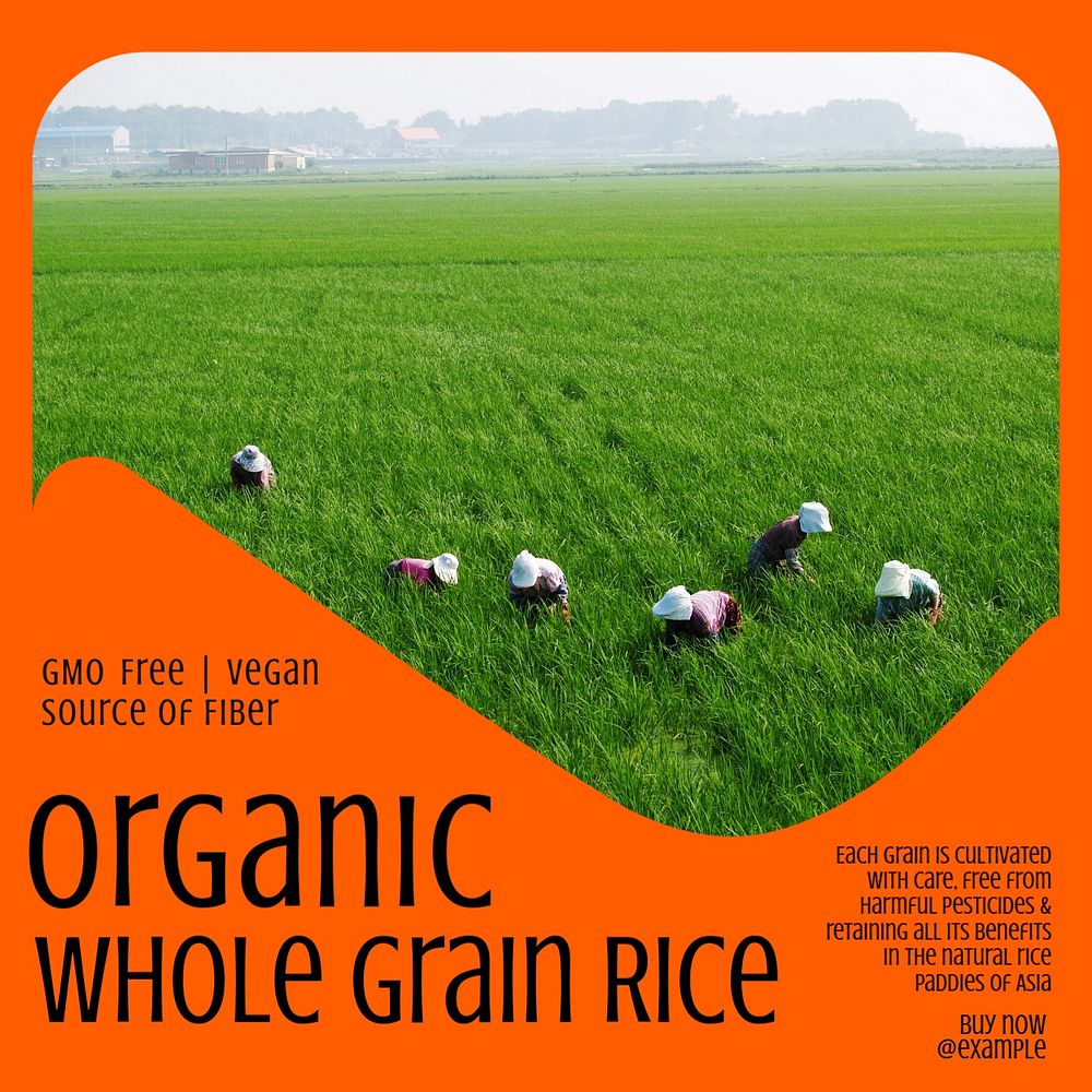 Organic whole grain rice Instagram post template, editable text