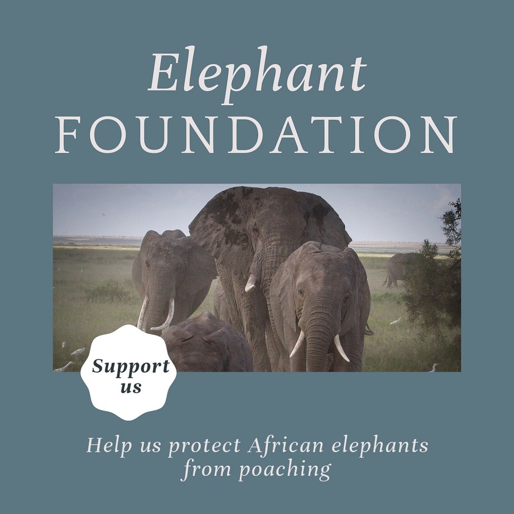 Elephant foundation Instagram post template, editable social media design