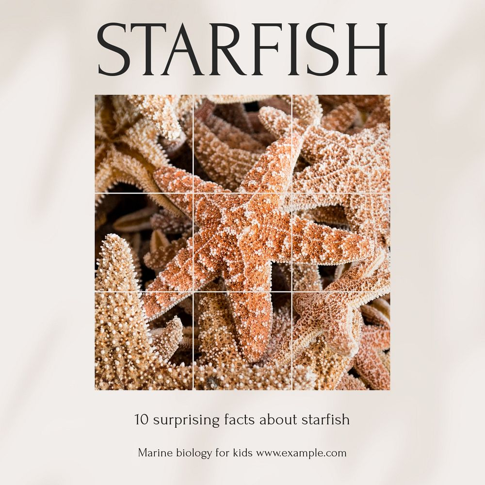 Starfish Instagram post template, editable social media design