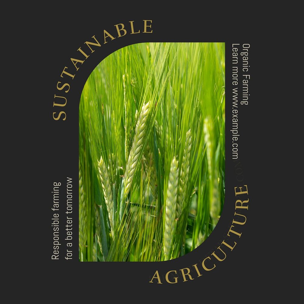 Sustainable agriculture Instagram post template, editable social media design