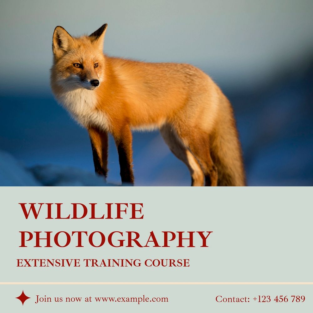 Wildlife photography contest Instagram post template, editable design