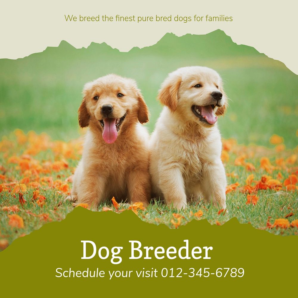 Dog breeder Instagram post template, editable design