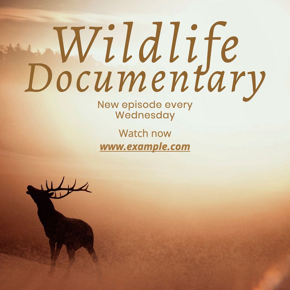 Wildlife documentary Instagram post template