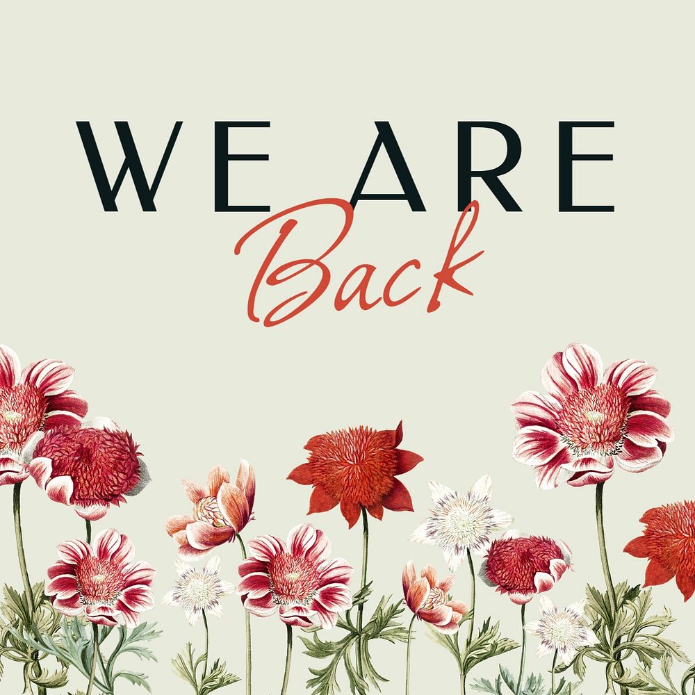 We are back Instagram post template