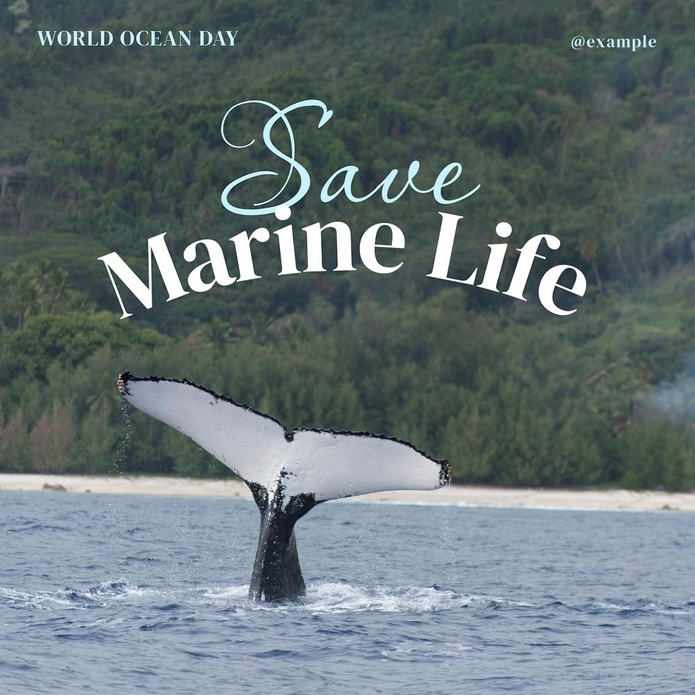 Save marine life Instagram post template, editable design