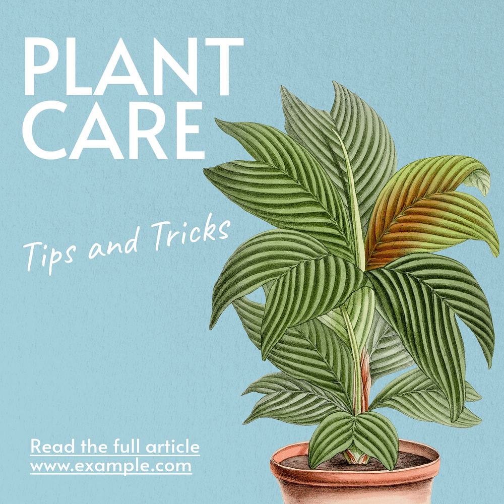 Plant care tips Instagram post template, editable text