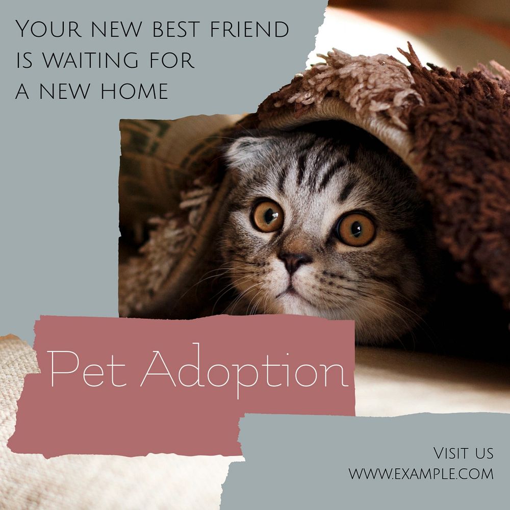 Pet adoption Instagram post template, editable social media design