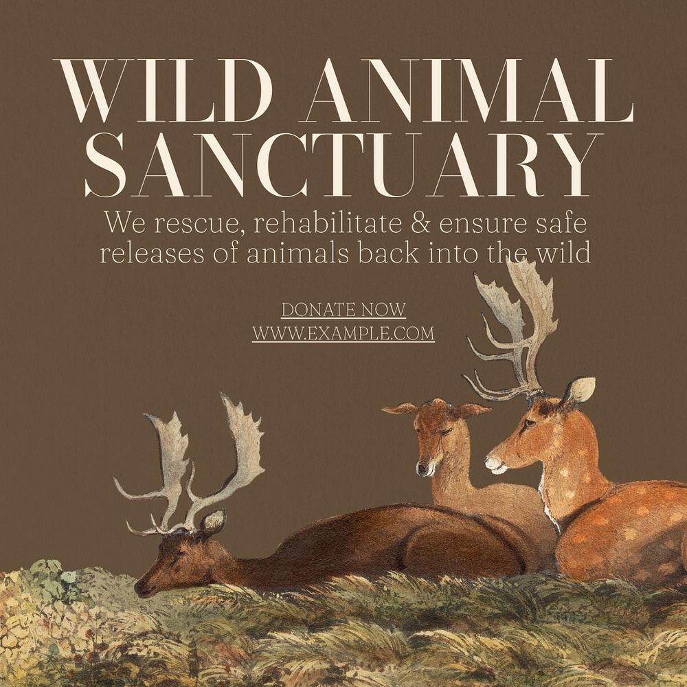 Wildlife sanctuary Instagram post template, editable text