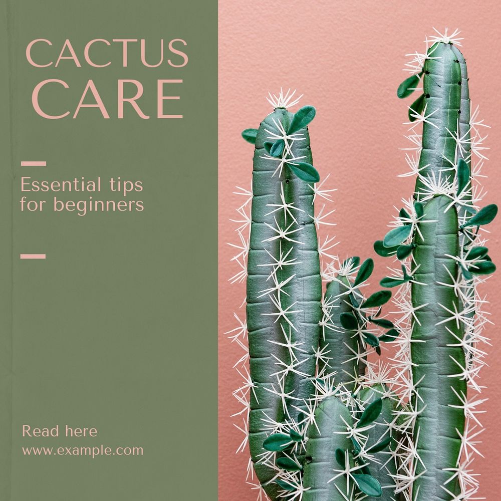 Cactus care Instagram post template, editable text