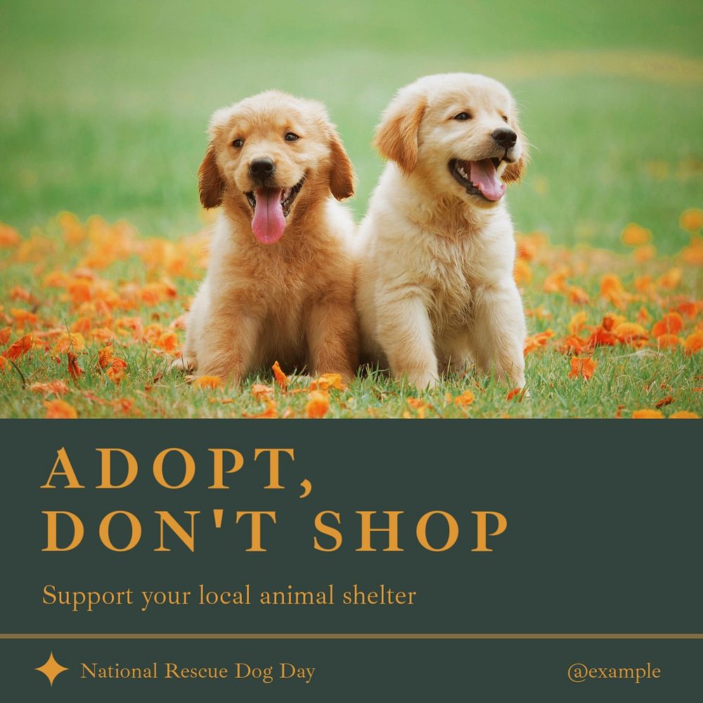 Adopt, don't shop Instagram post template, editable design