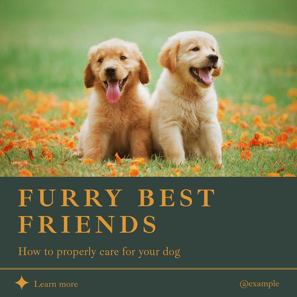 Furry best friends Instagram post template, editable design