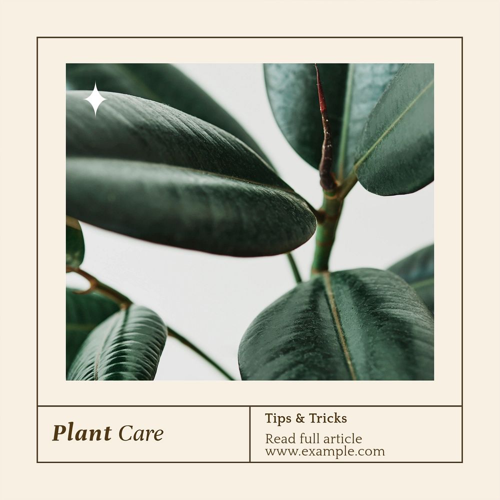 Plant care Instagram post template, editable text