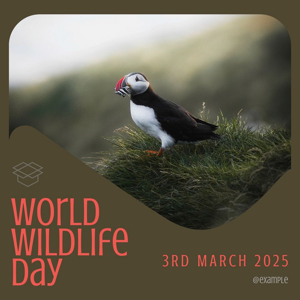 World wildlife day post template, editable social media design