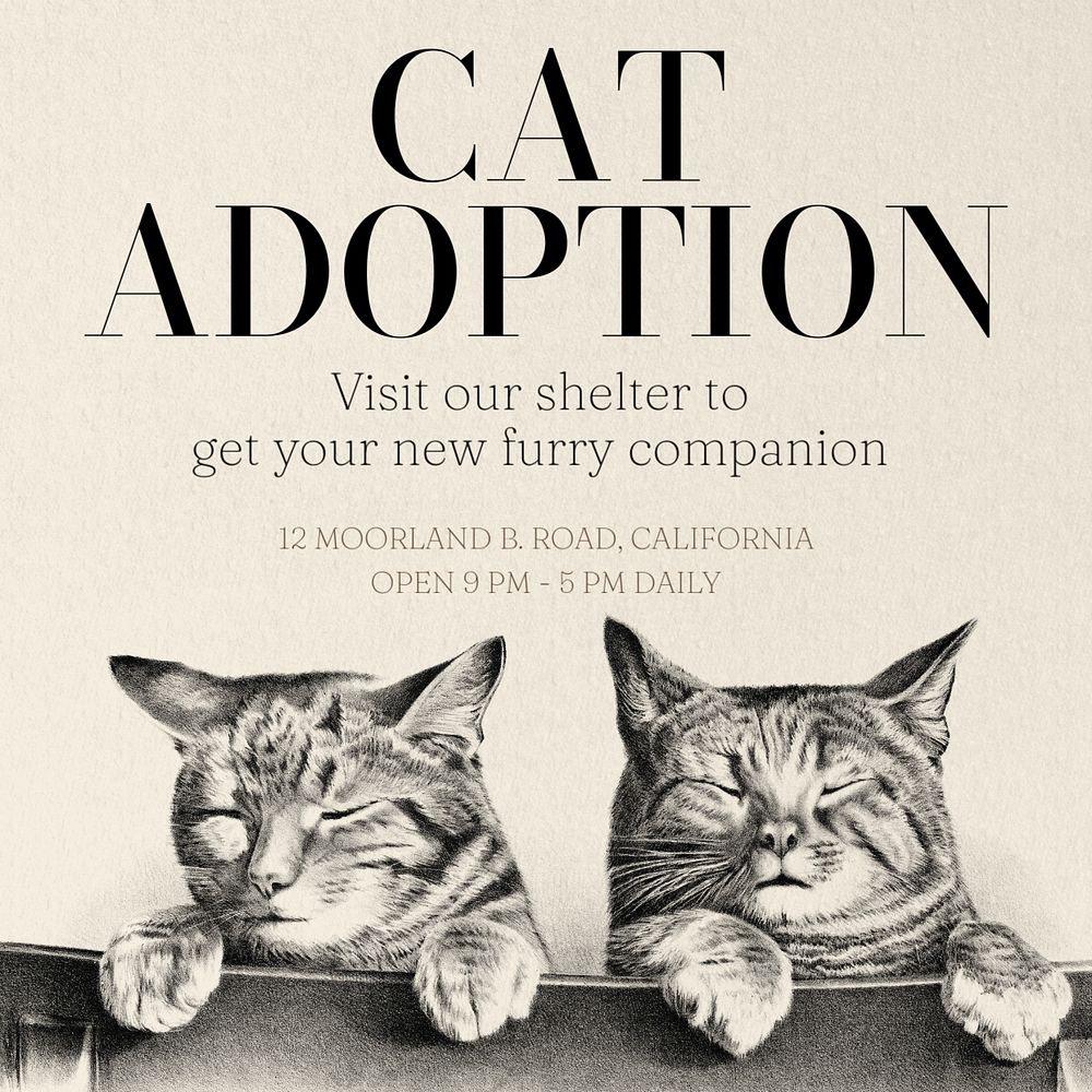 Cat adoption Instagram post template, editable text