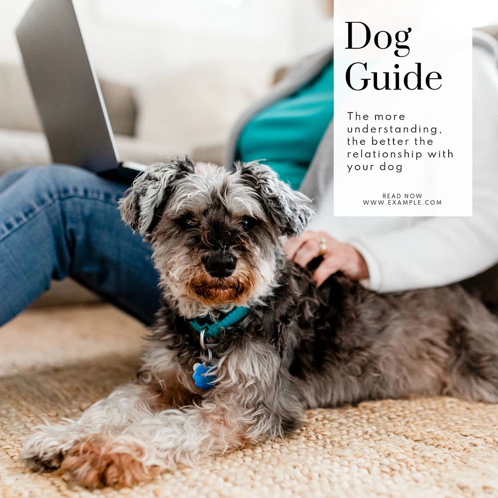 Dog guide Instagram post template, editable text