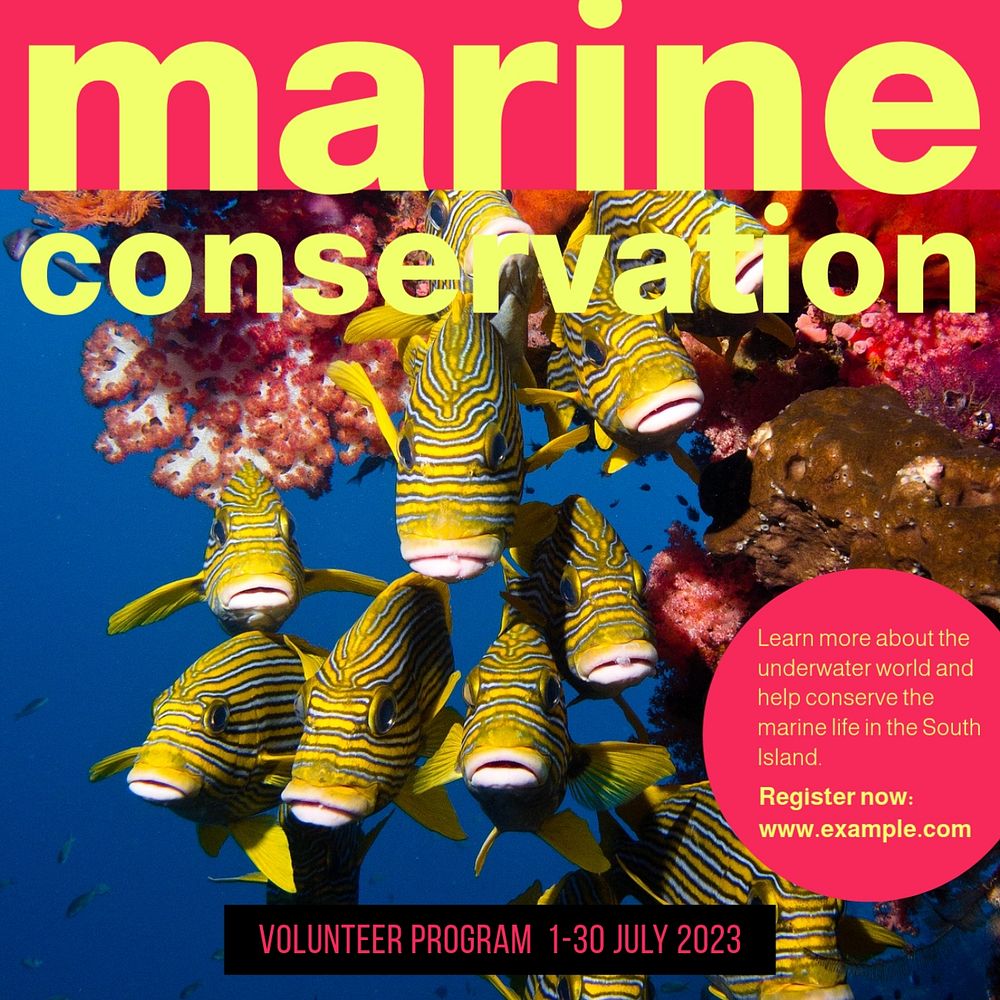 Marine conservation Instagram post template, editable design