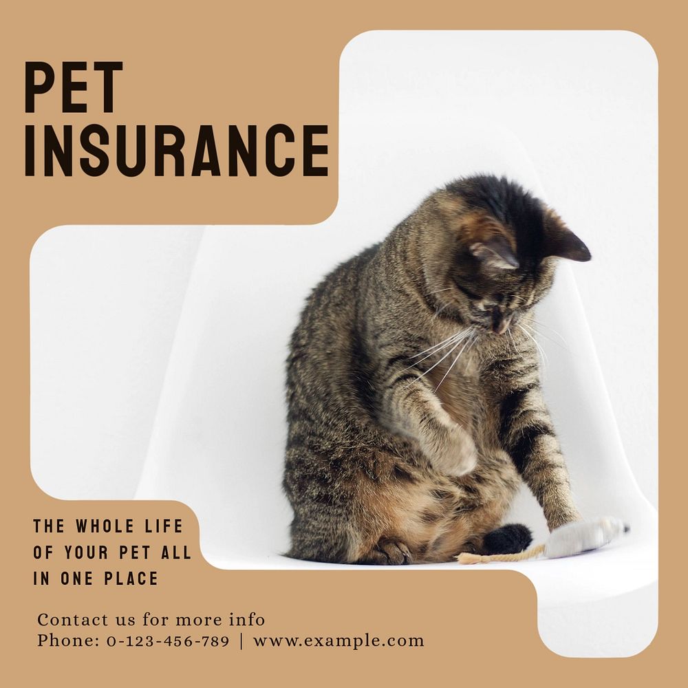 Pet insurance Instagram post template, | Premium Editable Template ...