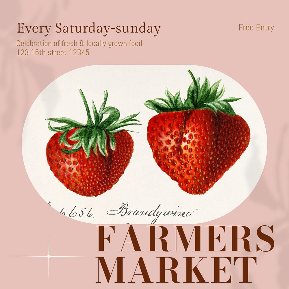 Farmers market Instagram post template, editable design