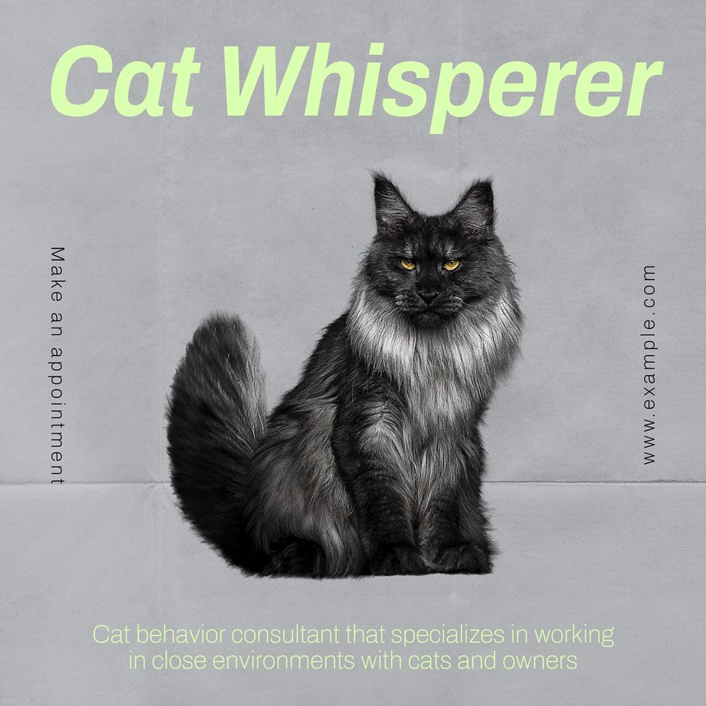 Cat whisperer Facebook ad template, editable text & design