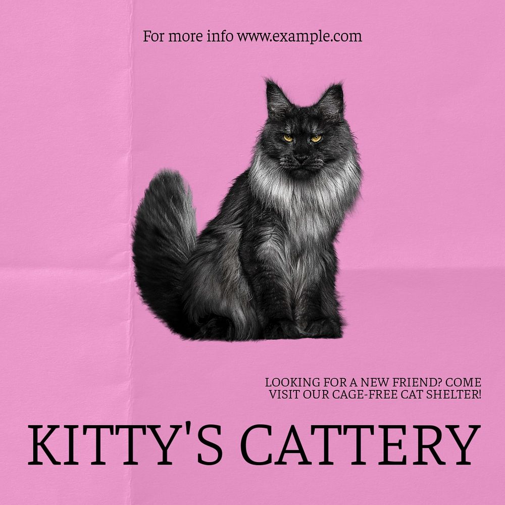 Kitty's cattery Facebook ad template, editable text & design