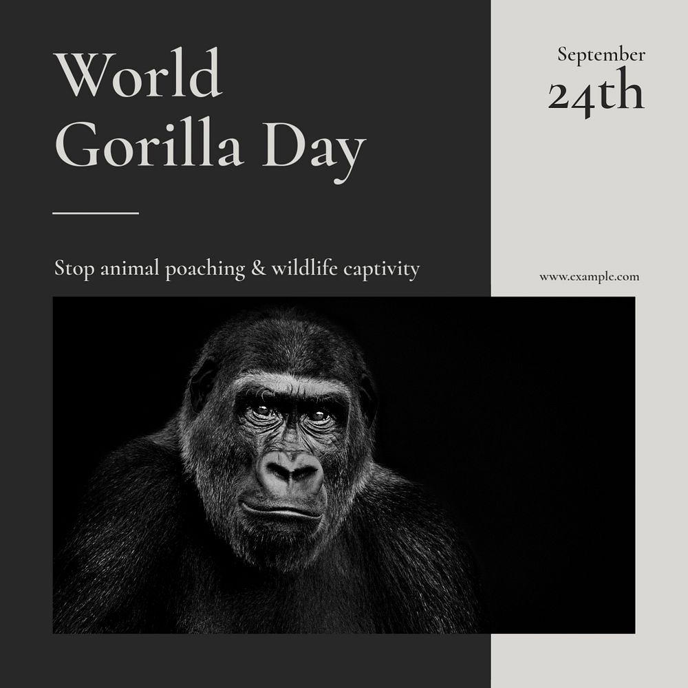 Gorilla day Instagram post template, editable social media ad