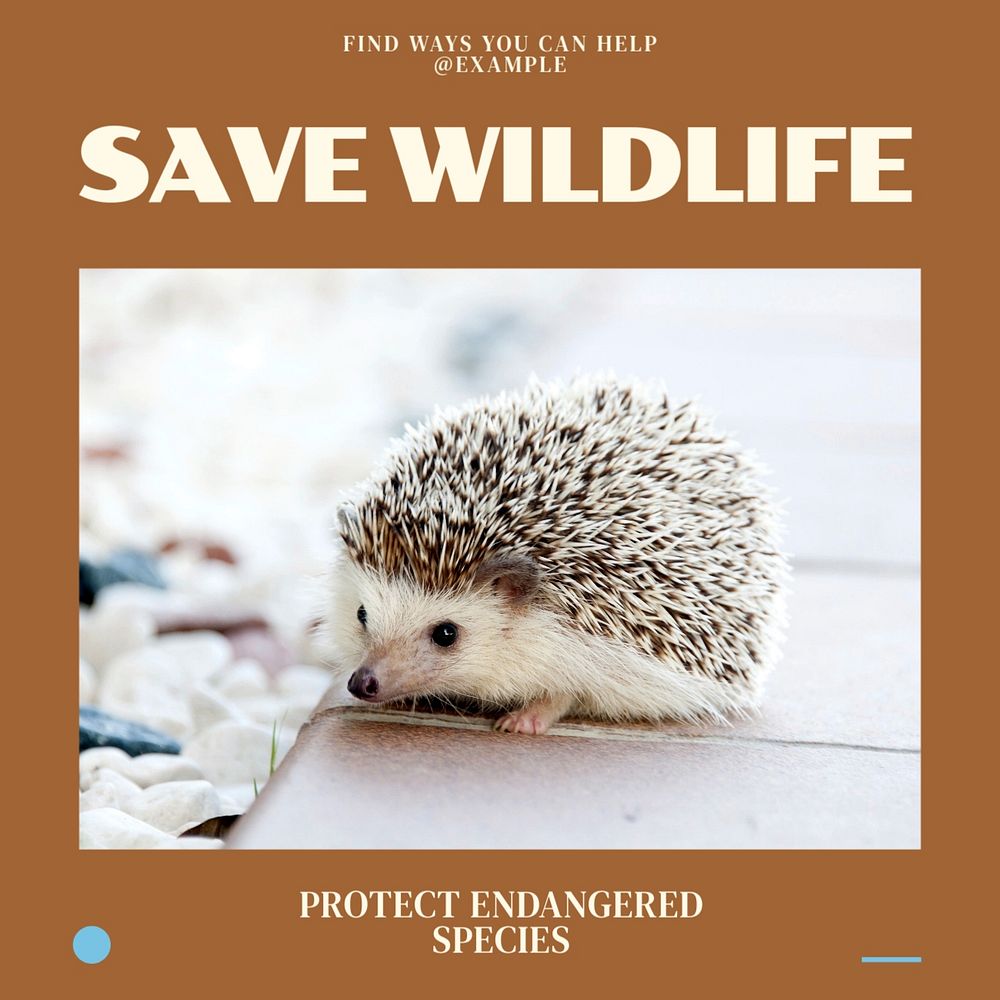 Save wildlife Facebook post template, editable social media ad