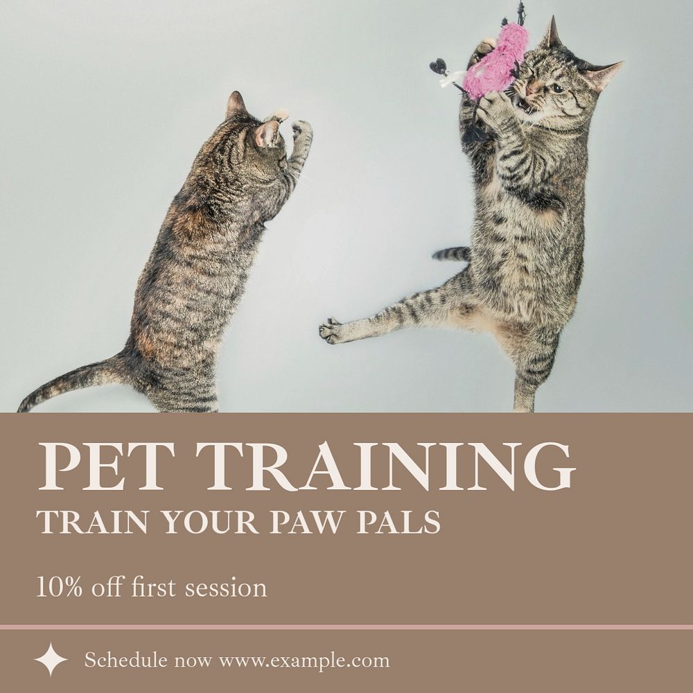 Pet training Facebook post template, editable social media ad