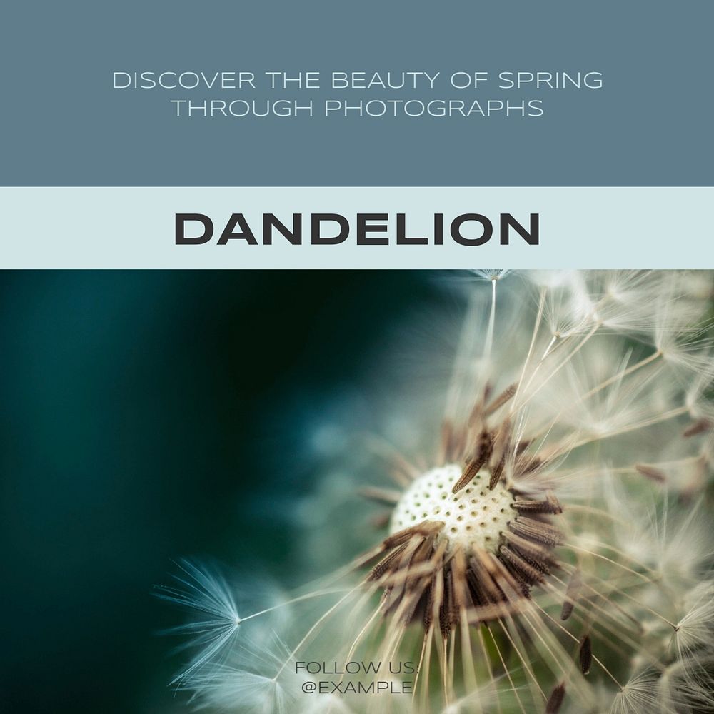 Dandelion Facebook post template, editable social media ad