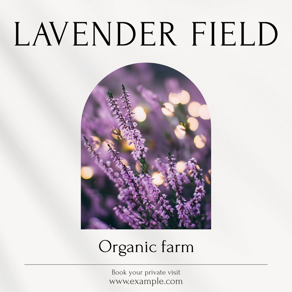 Lavender field Facebook post template, editable social media ad