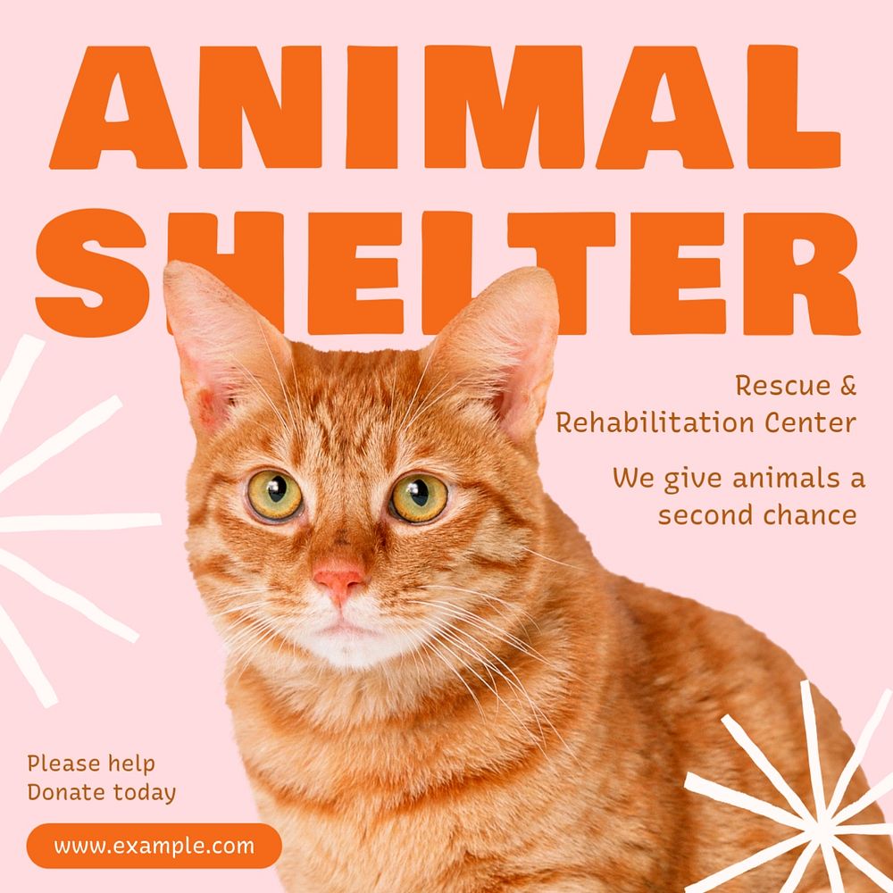 Animal shelter Instagram post template, editable text