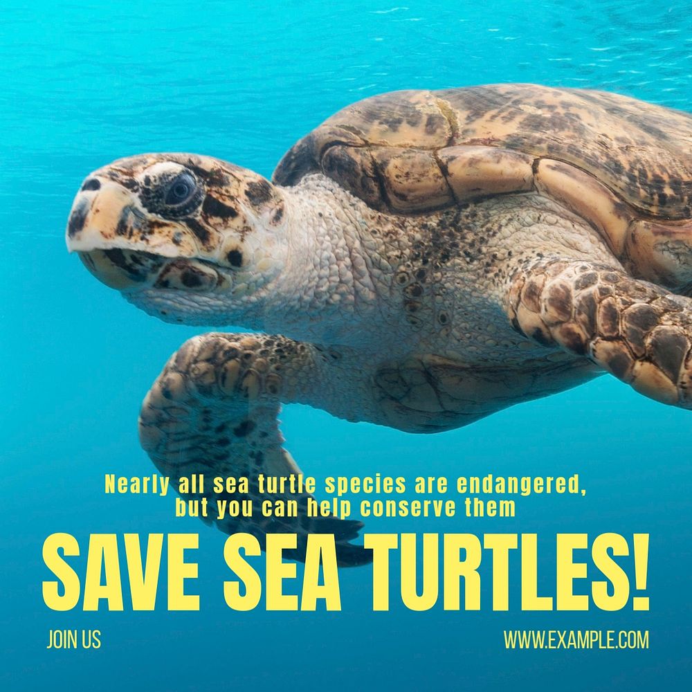 Save sea turtles Instagram post template, editable text